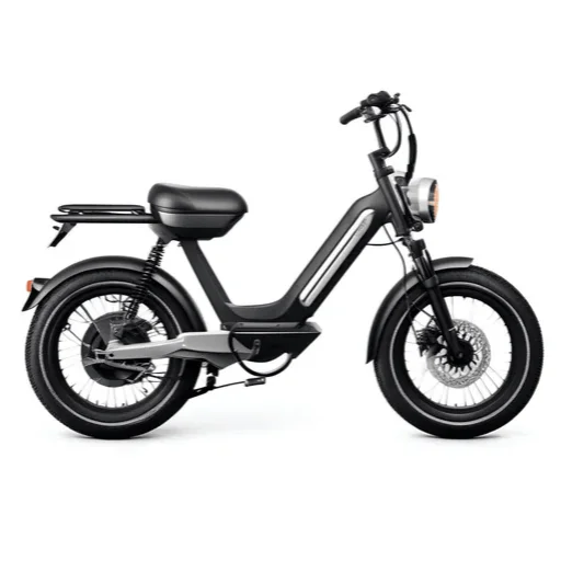 Beispiel für ein Elektro-Moped in der Kategorie Leicht-Motorräder.