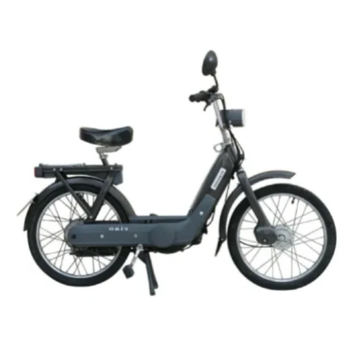 Beispiel für ein Mofa (Moped mit Tretunterstützung) in der Kategorie Leicht-Motorräder.