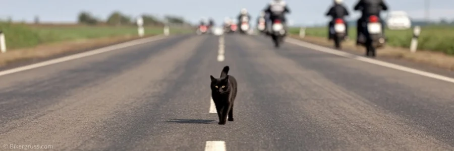 Eine schwarze Katze geht über eine breite Landstraße, während im Hintergrund einige Biker in der Ferne entlangfahren. Passend zum Artikel über Motorradhelm Aberglaube